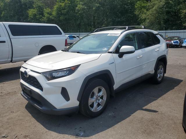 2019 TOYOTA RAV4 LE, 