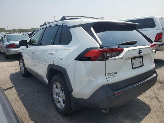 JTMMWRFV0KD003788 - 2019 TOYOTA RAV4 LE თეთრი ფოტო 2