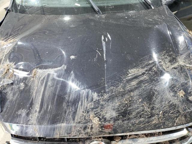 3VVMB7AX4PM016811 - 2023 VOLKSWAGEN TIGUAN SE Қара фото 12