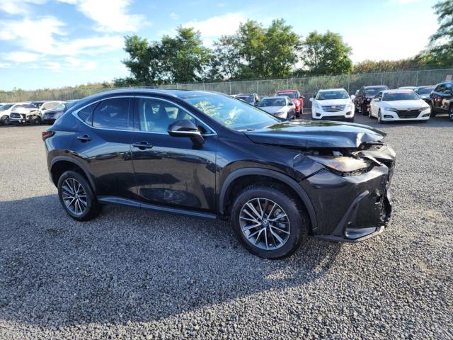 2T2AGCEZ6PC021827 - 2023 LEXUS NX 350 BLACK photo 2