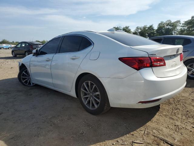 19UUB1F52KA007373 - 2019 ACURA TLX TECHNOLOGY WHITE photo 2