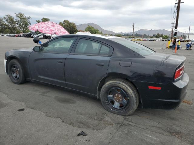 2C3CDXAT9EH348809 - 2014 DODGE CHARGER POLICE TWO TONE photo 2