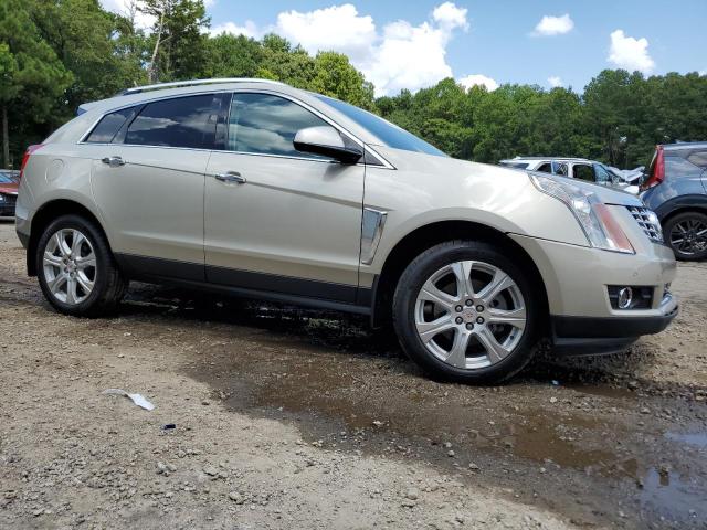 3GYFNCE33FS642014 - 2015 CADILLAC SRX PERFORMANCE COLLECTION Złoty zdjęcie 4