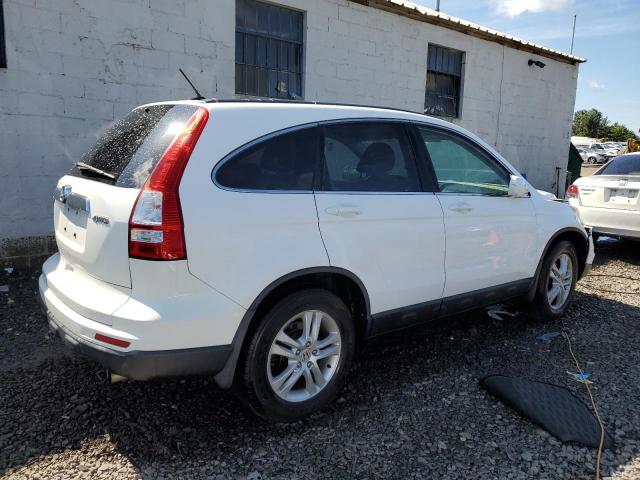 5J6RE4H76AL006364 - 2010 HONDA CR-V EXL WHITE photo 3