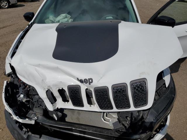 1C4PJMBX6ND548937 - 2022 JEEP CHEROKEE TRAILHAWK WHITE photo 12