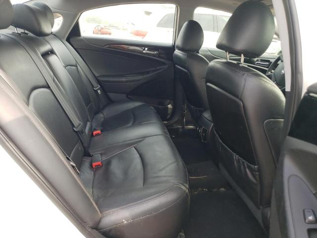 5NPEC4AC6DH531872 - 2013 HYUNDAI SONATA SE Ақ фото 10
