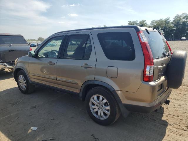 JHLRD78996C014836 - 2006 HONDA CR-V SE GOLD photo 2