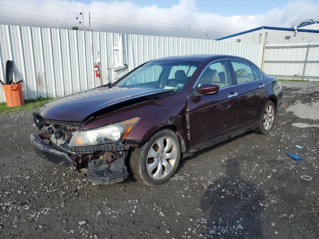 5KBCP3F86AB016702 - 2010 HONDA ACCORD EXL MAROON photo 1