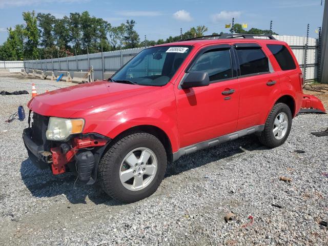 2009 FORD ESCAPE XLT, 