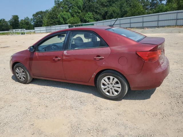 KNAFU4A24A5163712 - 2010 KIA FORTE EX BURGUNDY photo 2