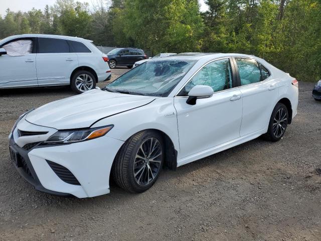 2020 TOYOTA CAMRY XLE, 