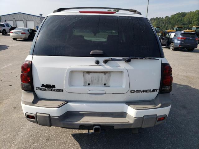 1GNDS13SX32322689 - 2003 CHEVROLET TRAILBLAZE WHITE photo 6