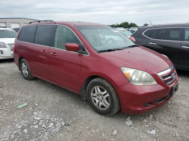 5FNRL38725B044365 - 2005 HONDA ODYSSEY EXL BURGUNDY photo 4