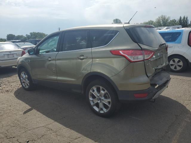 1FMCU9HX2DUD40011 - 2013 FORD ESCAPE SEL Yaşıl foto 2