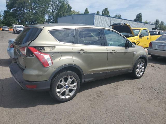 1FMCU9HX2DUD40011 - 2013 FORD ESCAPE SEL Yaşıl foto 3