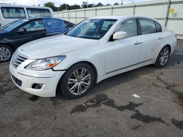 KMHGC4DFXBU118687 - 2011 HYUNDAI GENESIS 4.6L WHITE photo 1