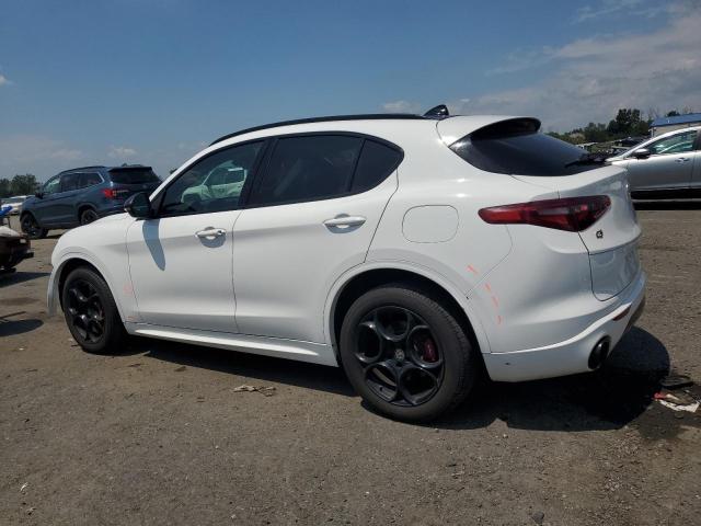 ZASFAKPN5J7C28435 - 2018 ALFA ROMEO STELVIO SPORT Ağ foto 2
