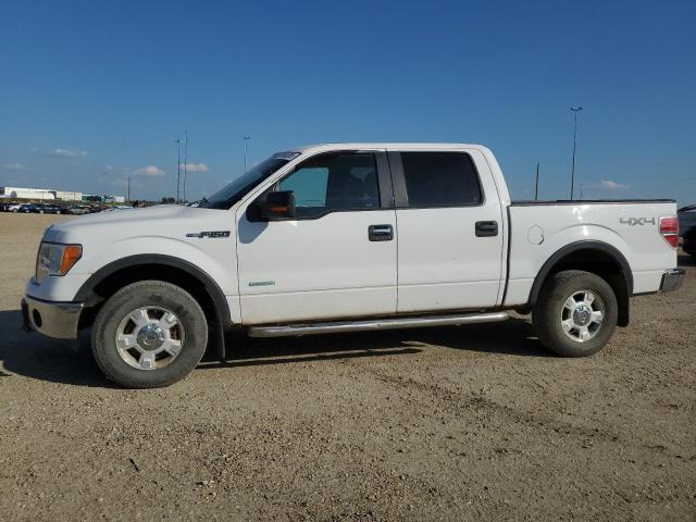 2014 FORD F150 SUPERCREW, null