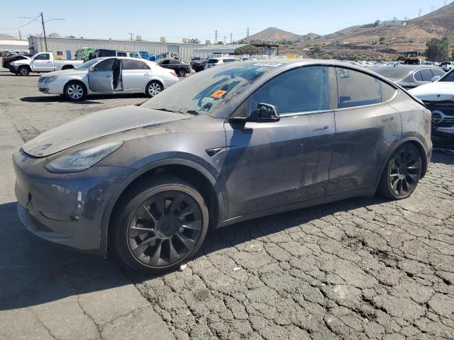 2021 TESLA MODEL Y, null