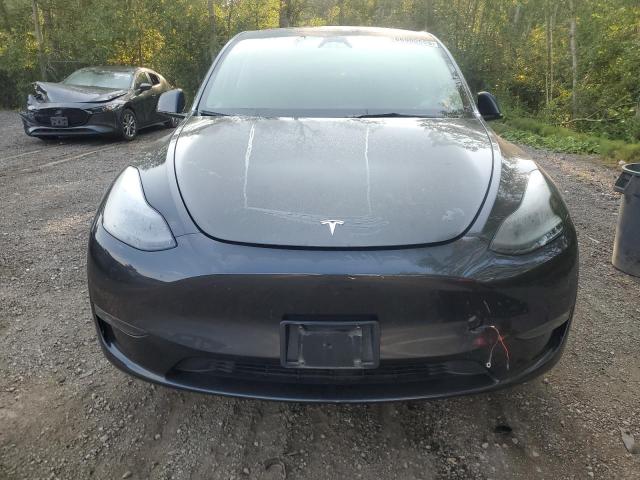 7SAYGDEE9RF062220 - 2024 TESLA MODEL Y Gris photo 5