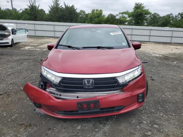 5FNRL6H62PB025326 - 2023 HONDA ODYSSEY EXL წითელი ფოტო 5