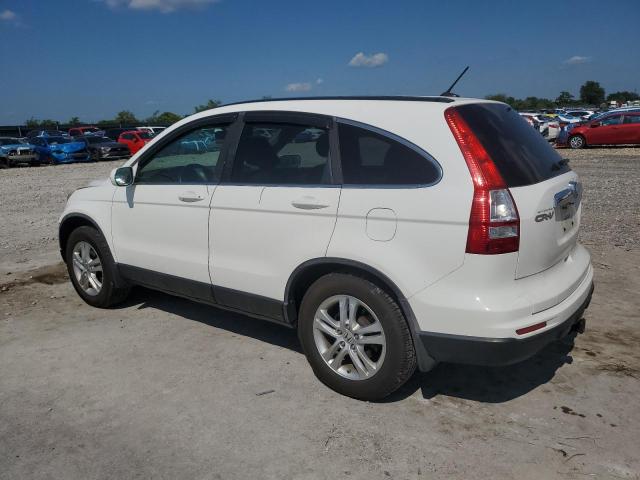 5J6RE4H73AL064125 - 2010 HONDA CR-V EXL WHITE photo 2