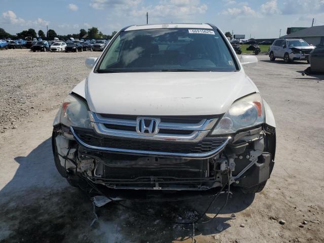 5J6RE4H73AL064125 - 2010 HONDA CR-V EXL WHITE photo 5