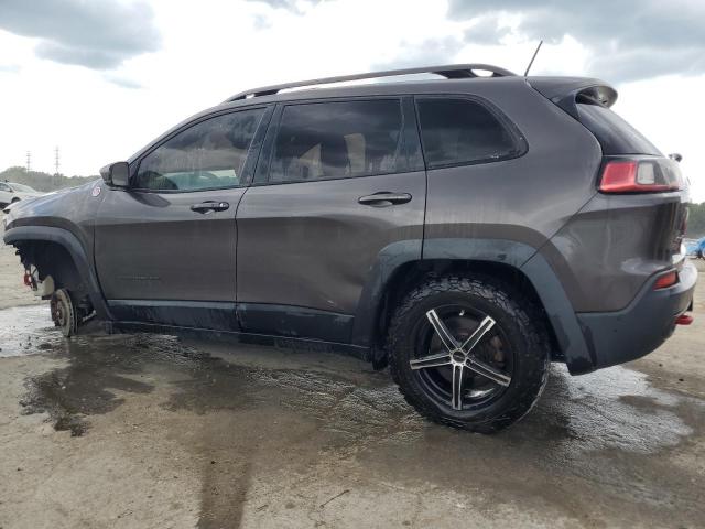 1C4PJMBX9KD132165 - 2019 JEEP CHEROKEE TRAILHAWK GRAY photo 2
