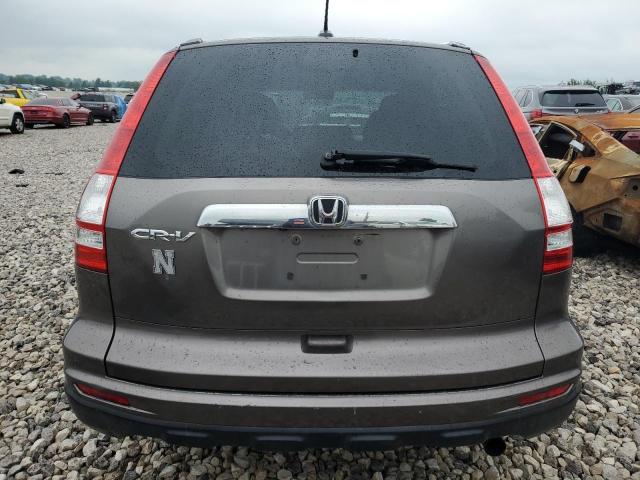 5J6RE3H70AL005382 - 2010 HONDA CR-V EXL GRAY photo 6