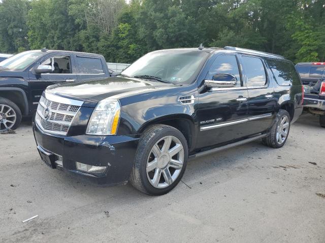 1GYS4KEF3BR273514 - 2011 CADILLAC ESCALADE ESV PLATINUM Qara foto 1