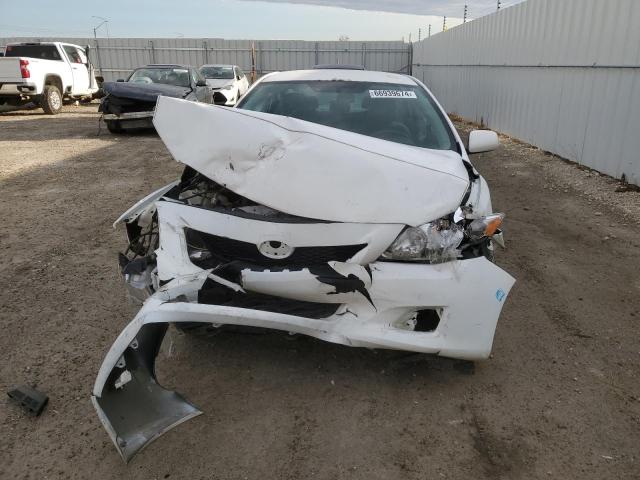 2T1BU4EE0AC242495 - 2010 TOYOTA COROLLA BASE WHITE photo 5