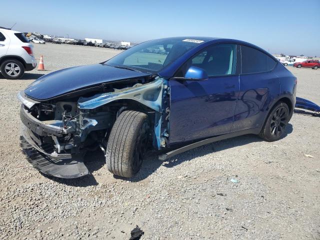 2021 TESLA MODEL Y, null