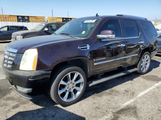 2009 CADILLAC ESCALADE LUXURY, null