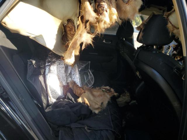 5XXGT4L36KG326812 - 2019 KIA OPTIMA LX BLACK photo 10