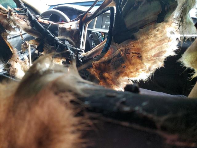 5XXGT4L36KG326812 - 2019 KIA OPTIMA LX BLACK photo 8