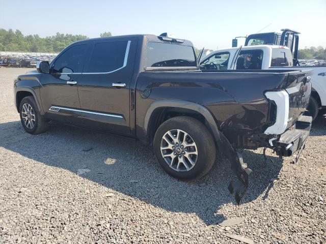 5TFMA5DB9NX028112 - 2022 TOYOTA TUNDRA CREWMAX PLATINUM Braun Foto 2