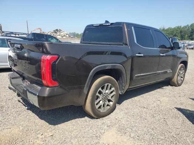 5TFMA5DB9NX028112 - 2022 TOYOTA TUNDRA CREWMAX PLATINUM Braun Foto 3