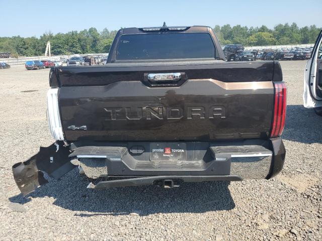 5TFMA5DB9NX028112 - 2022 TOYOTA TUNDRA CREWMAX PLATINUM Braun Foto 6