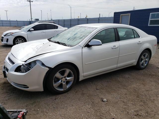 1G1ZC5E13BF330303 - 2011 CHEVROLET MALIBU 1LT أبيض صورة 1