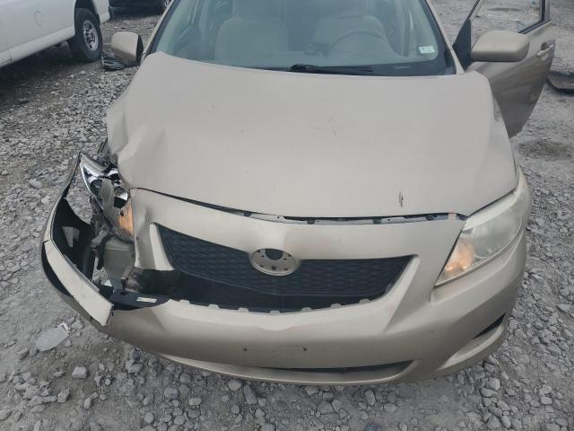 1NXBU4EEXAZ325737 - 2010 TOYOTA COROLLA BASE ბეჟი ფოტო 11
