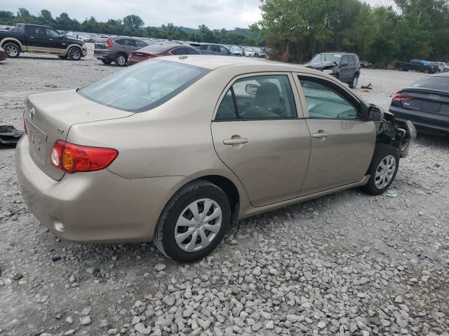 1NXBU4EEXAZ325737 - 2010 TOYOTA COROLLA BASE ბეჟი ფოტო 3
