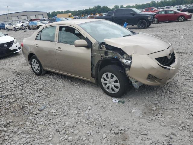 1NXBU4EEXAZ325737 - 2010 TOYOTA COROLLA BASE ბეჟი ფოტო 4