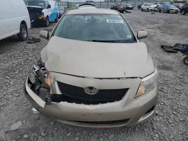 1NXBU4EEXAZ325737 - 2010 TOYOTA COROLLA BASE ბეჟი ფოტო 5