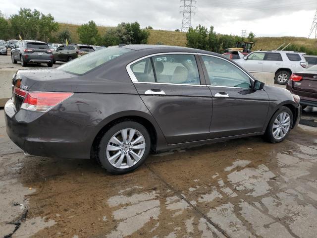 1HGCP3F81BA015029 - 2011 HONDA ACCORD EXL BROWN photo 3