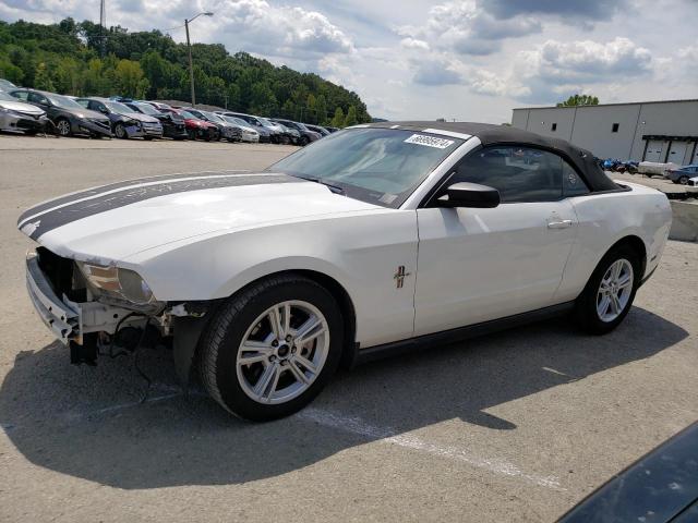 1ZVBP8EM2C5249984 - 2012 FORD MUSTANG WHITE photo 1