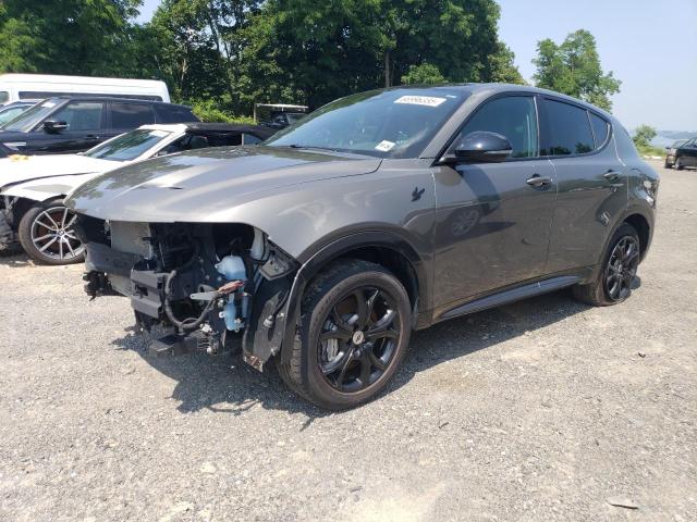 2024 DODGE HORNET R/T PLUS, null
