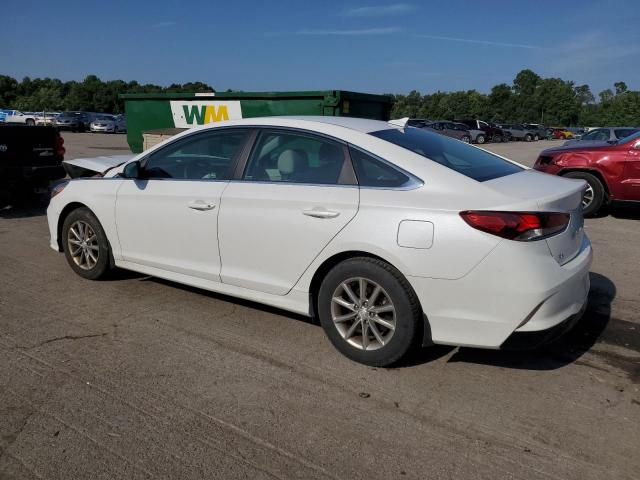 5NPE24AF8KH781625 - 2019 HYUNDAI SONATA SE 白色 照片 2