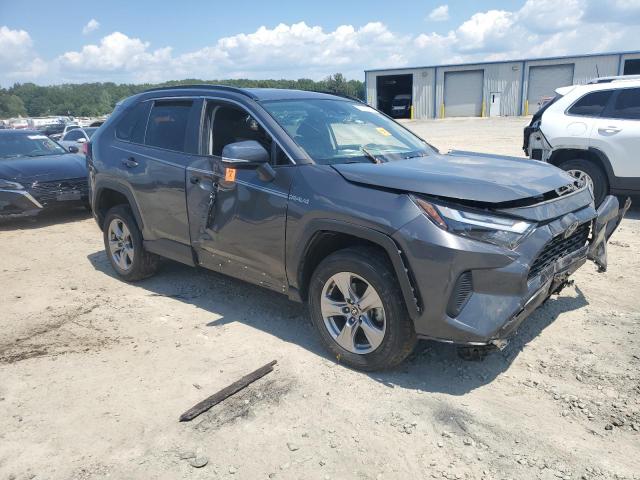 2T3W1RFV8PW248775 - 2023 TOYOTA RAV4 XLE GRAY photo 4