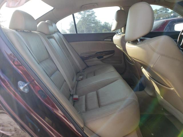 1HGCP36898A084270 - 2008 HONDA ACCORD EXL BURGUNDY photo 10