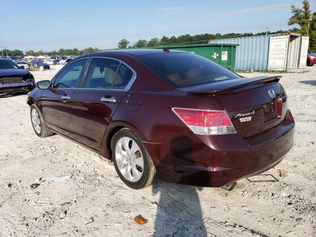 1HGCP36898A084270 - 2008 HONDA ACCORD EXL BURGUNDY photo 2